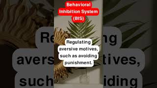 Behavioral Inhibition System BIS [upl. by Mahseh931]