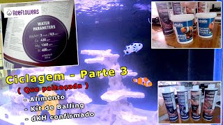 Que Palhaçada  Balling  Alimentos  dKH  Continuação da Ciclagem do Nano Reef  Parte 34 [upl. by Sirroned182]