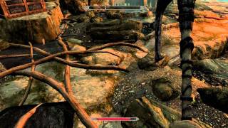 Skyrim Bleak Falls Barrow Temple Walkthrough [upl. by Hurwit]