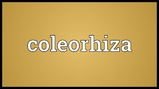 Coleorhiza Meaning [upl. by Acceb]