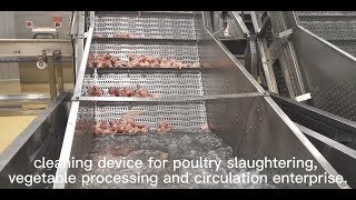 Air Wave Cleaning Machine for Poultry and Vegetable Processing [upl. by Aicnelev]