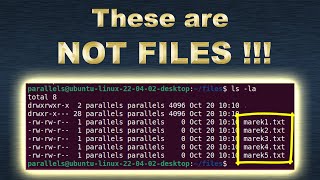 Linux inode table hardlink softlink directory and file system explained [upl. by Papke875]