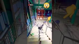 dangerous work for steel staircase  Staircase Work process staircase lift construction shorts [upl. by Melinda433]