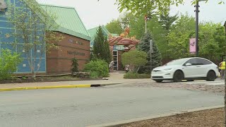 Saint Louis Zoo closes early Sunday due to fights at nearby carnival [upl. by Nahgaem565]