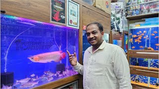 Paroon Shark Fish and Super Red Arowana Fish at Karnataka Aquarium [upl. by Hnahc74]