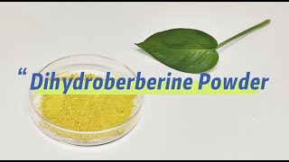 Dihydroberberine Powder [upl. by Richmal474]