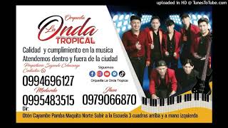 🌟La Onda TropicalAudio en vivo 2024🌟mix chicha Cayambe🌟 [upl. by Nnylylloh]