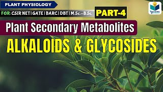 PLANTS SECONDARY METABOLITESPART4 ALKALOIDS AND GLYCOSIDES CSIR NET [upl. by Meta]