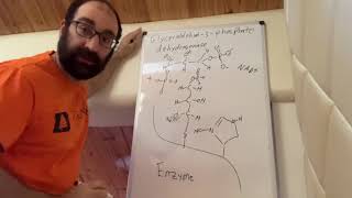 Mechanism of glyceraldehyde3phosphate dehydrogenase [upl. by Adeline]