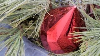 Creating Outdoor Christmas Urns [upl. by Corrie223]