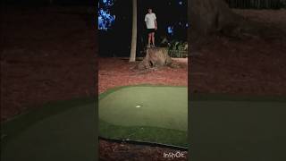 TPC Sawgrass Trickshots at the offbrand Stadium Course [upl. by Artap900]