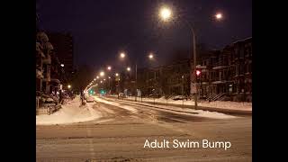 Adult Swim Bump  Winter adultswim adultswimbump boombap soul lofi hiphop [upl. by Atalanti73]