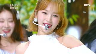 IZONE아이즈원  Nagging잔소리 Immortal Songs 2 4  20200808 [upl. by Ronalda]