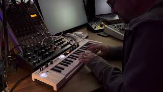 Arturia Keystep 37 arpeggiator improv on a Behringer Model D [upl. by Gurolinick]