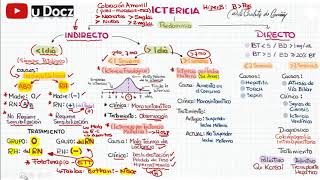 ICTERICIA NEONATAL [upl. by Naitsabes]