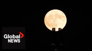 Moon gazing The first supermoon of the year lights up the night sky [upl. by Nipsirc597]