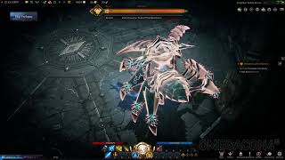 Lost Ark Spider Boss Paladin LA 1080p PC [upl. by Pliske112]