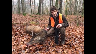 Driven hunt in Belgium  Battue dans les Ardennes part two [upl. by Peppel]