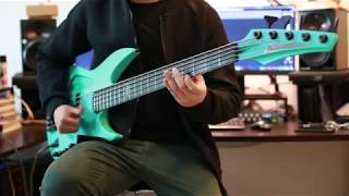 Animals as leaders  The Woven Web（Bass slap cover by Zsiuming） [upl. by Dagny]