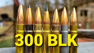 300 BLK AMMO TEST  100 Yard Group Test [upl. by Eve921]