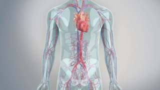 Medtronic Heart Valve Replacement [upl. by Tteve]