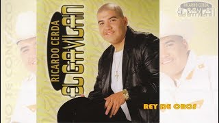 Ricardo Cerda EL GAVILAN  Rey De Oros Canción Completa [upl. by Harutak]