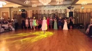 Irish Dancing at Aoife and Pats Wedding [upl. by Heinrike967]