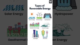 Types of Renewable Energy Renewable Energy Resources renewableenergy shorts youtubeshorts [upl. by Eirroc573]