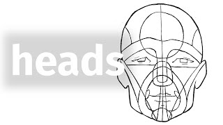 Drawing Exercises For Artists  Draw Heads Reilly Rhythm Lines [upl. by Soma858]