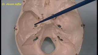 Osteology of the skull 6 cranial cavity [upl. by Dulcine]