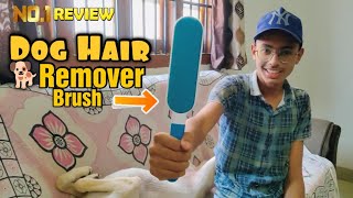 Dog Hair Remover Brush Dog ke faile hue Baal ko saaf karne wala Brush [upl. by Kitty]