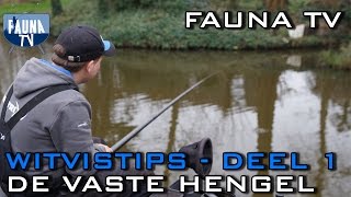 Fauna TV  Witvistips deel 1 vaste hengel [upl. by Teak288]