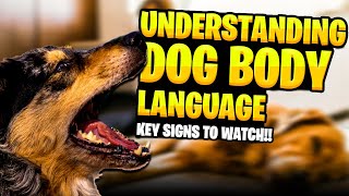 Understanding Dog Body Language Key Signs to Watch [upl. by Roxi]