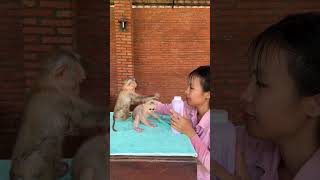 Mom Apply Powder To Bbay Monkey [upl. by Harvey]