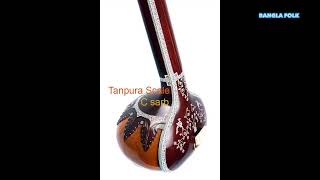 Tanpura C Sarb Scale  তানপুরা স্কেল C Sarb Composse Mohammad Al amin  Level Bangla Folk [upl. by Aicelf715]