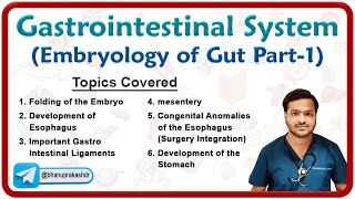 Embryology of Gastrointestinal system  Development of Foregut Part  1 [upl. by Roby]