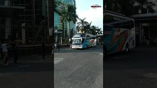 Bus msmasyrof nakulafyp shorts basuri telolet busmania bus buspariwisata videobus [upl. by Yee246]