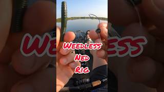 How To Hook Up a Weedless Ned Rig [upl. by Nilrev307]