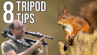 Wildlife Photography for Beginners  8 Essential TRIPOD TIPS [upl. by Aynwat736]