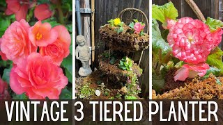 Planting A Vintage 3 Tiered Planter in the Shade Garden 🌺  Shade Plants Begonias [upl. by Ahsiekal529]