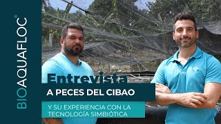 Entrevista exclusiva a Peces del Cibao y su experiencia con la Tecnología Simbiótica 🇩🇴 [upl. by Llenahc]