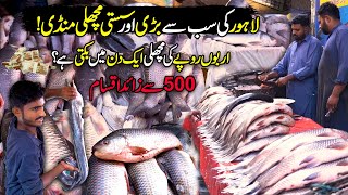 Largest Fish Market In Lahore Pakistan  Sasti Machli Mandi  CHAK DE PHATE [upl. by Nuahsed]