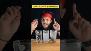 Tyndall Effect Experiment Scattering of Light 🔦Experiment class10scienceshortsexperiment [upl. by Willey]