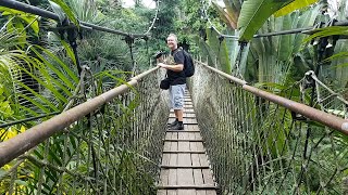 Fantastisches Gondwanaland Tropenhalle Zoo Leipzig [upl. by Kappel977]