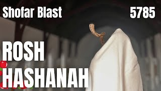 ROSH HASHANAH  5785  2024  SHOFAR BLOWING  NEW YEAR BLESSING [upl. by Attikram]