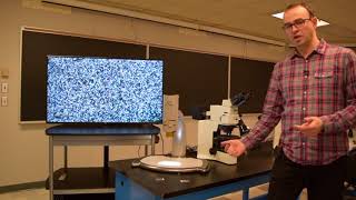 Petrographic Microscopy  thin sections demonstration [upl. by Alejandra]