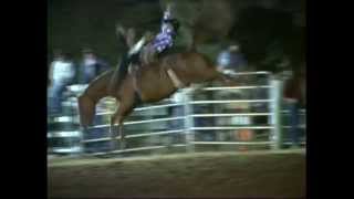 Rockin B Bareback ride wreck Taralga Rodeo 2014 [upl. by Dahij]