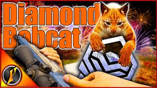 FINALLY A Diamond Bobcat on New England  We Have EVERY Diamond in the Game [upl. by Anirroc100]