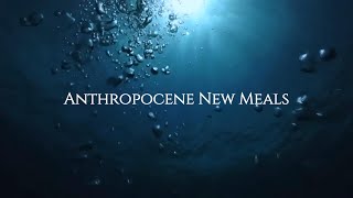 Anthropocene New Meals [upl. by Anoiuq]