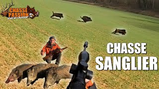 CHASSE DU SANGLIER EN BATTUE  Triplé de sangliers au poste  Une saison de folie [upl. by Scurlock]